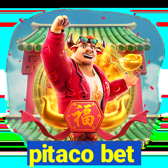 pitaco bet